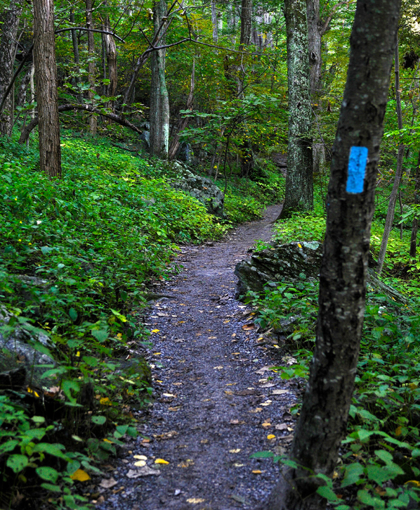 Blue Blaze Trail Markers